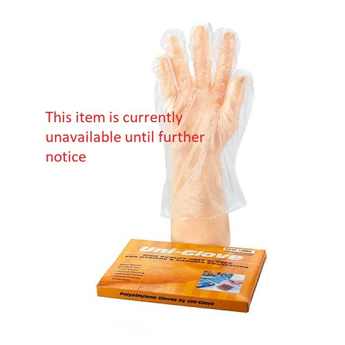 PE Disposable Gloves